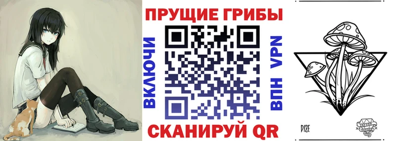 где найти наркотики  Пушкино  Псилоцибиновые грибы мицелий 