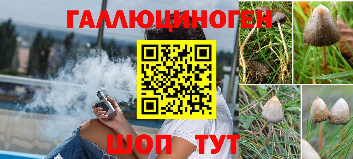 Псилоцибиновые грибы MAGIC MUSHROOMS Пушкино