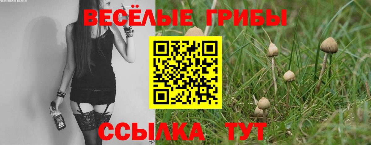 Псилоцибиновые грибы прущие грибы  Вход с VPN  Пушкино 